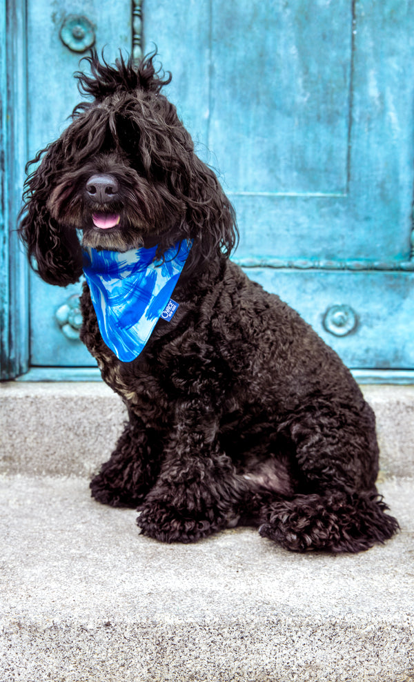 BRUSHED WAVES ARTISAN DOG BANDANA